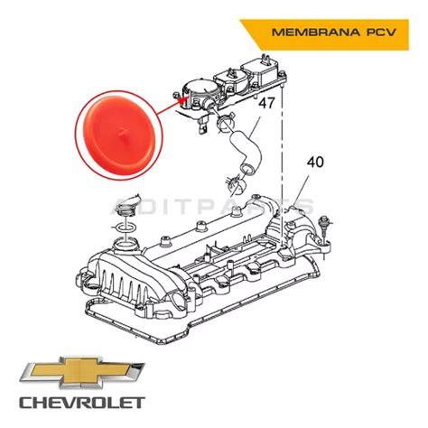 Membrana Valvula Pcv Chevrolet Captiva 2 0 2 2 Petrolera En Venta En La