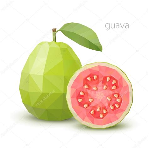 Fruta poligonal guayaba ilustración vectorial Vector de stock