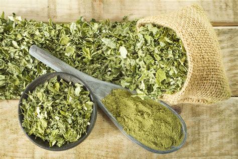 Beneficios Y Posibles Contraindicaciones De La Moringa