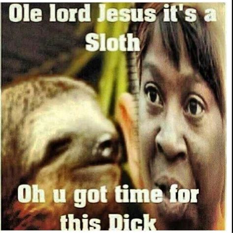 Pinterest Sloth Meme Sloth Lol