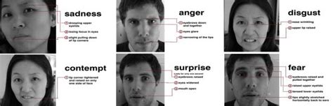 Body Language Signs, Eye Expressions, Disgust, Anger, Fear, Eyes ...