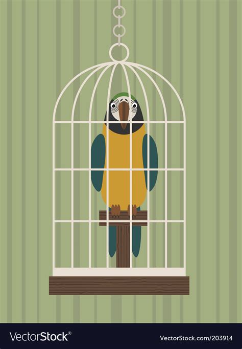 Parrot in cage Royalty Free Vector Image - VectorStock