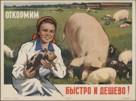 Плакаты 1956 года (48 фото)