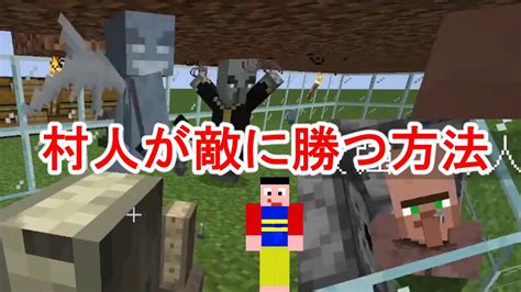 【マイクラ】棘の鎧エンチャントで村人が敵に勝つのか検証するマインクラフト 再 Youtube