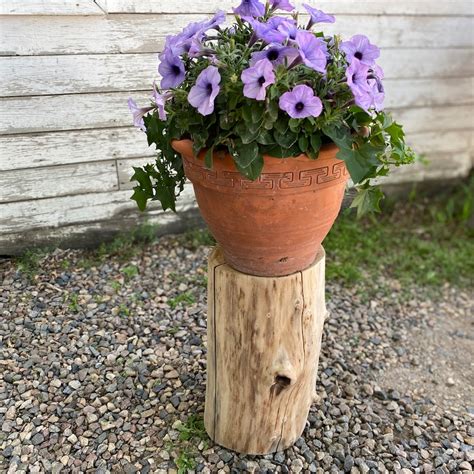 Tree Stump Table - Etsy