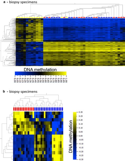 Differential Dna Methylation Analysis To Separate Tumor Entities A