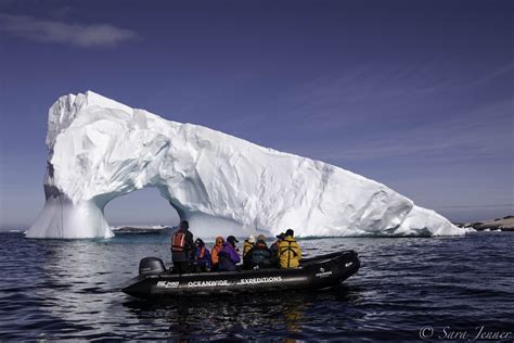 Antarctica Elephant Island Weddell Sea Polar Circle Pla