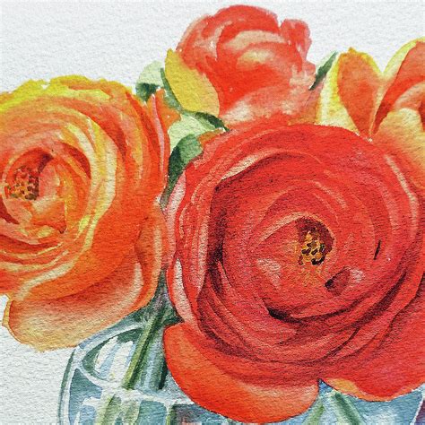 Watercolor Ranunculus Flowers Close Up Painting By Irina Sztukowski