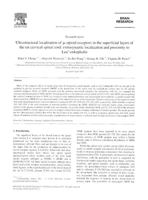 Pdf Ultrastructural Localization Of Opioid Receptors In The