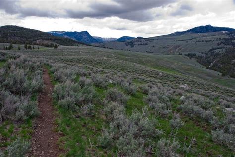 Yellowstone National Park Garnet Hill Loop