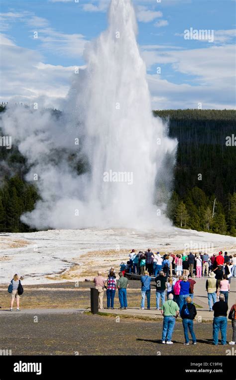 Old Faithful Geyser,Views From Old Faithful Inn,Yellowstone National Park,Wyoming,USA Stock ...