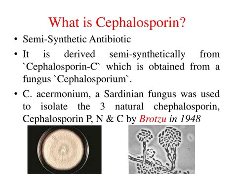 3rd Gen Cephalosporin 8