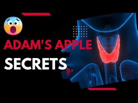 Adam S Apple The Weird Story Behind Its Name Why Does Only Men