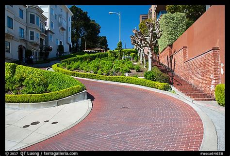 Picturephoto Lombard Street Curving Roadway San Francisco