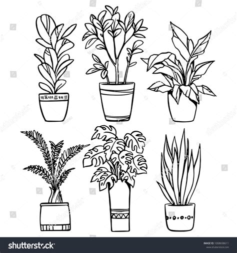 Vector Set House Plants Pots Outline Stock Vector Royalty Free