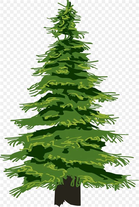 Pine Tree Evergreen Clip Art, PNG, 3401x5054px, Pine, Christmas ...