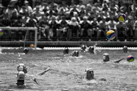 Collegiate Cup to feature top Women's College Water Polo Teams