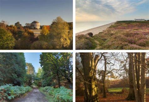 Discover Some Of Suffolks Best Autumn Walks With Dunwich Heath And