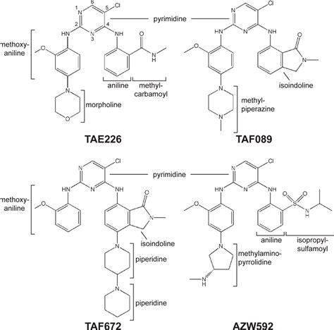 Schematic Structures Of The Fak Specific Inhibitors The Schematic