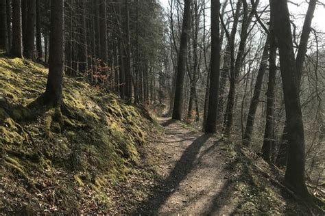 Rund Um Den Sch Nbuchturm Bergfex Wanderung Tour Baden W Rttemberg