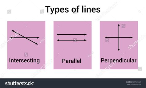 Types Lines Parallel Perpendicular Intersecting Stock Vector Royalty