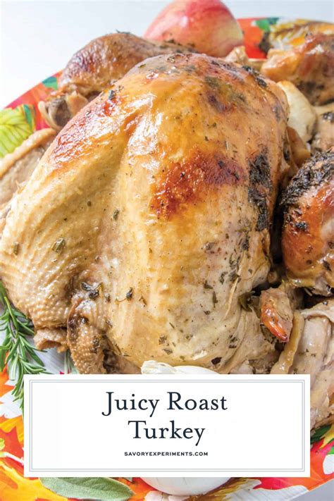 Juicy Roast Turkey + VIDEO The Best Thanksgiving Turkey Recipe!