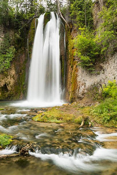 Black Hills Fall Stock Photos Pictures And Royalty Free Images Istock