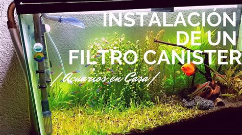 C Mo Instalar Filtro Canister Para Acuario La Mejor Herramienta Para