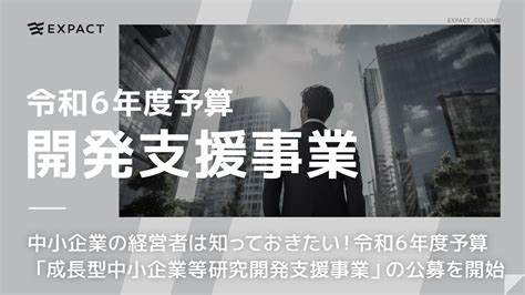 【解説】令和6年度予算「成長型中小企業等研究開発支援事業」とは Expact ｜スタートアップ支援｜新たな挑戦に、旗を掲げよう。｜seed