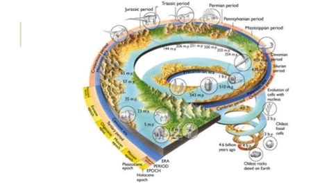 Holocene Period