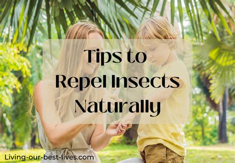 Tips to Repel Insects Naturally – Living Our Best Lives