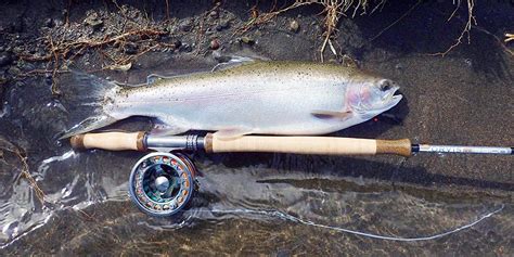 Silverwater Fly Fishing Design Orvis Mission Ft Wt Rod Review