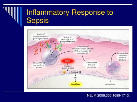 Ppt Sepsis Septic Shock And Systemic Inflammatory Response Syndrome ...