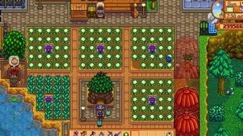 13 Best Stardew Valley Farm Layout Ideas