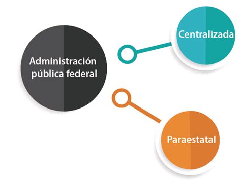 M4 U2 Tema 2 1 Estructura Orgánica