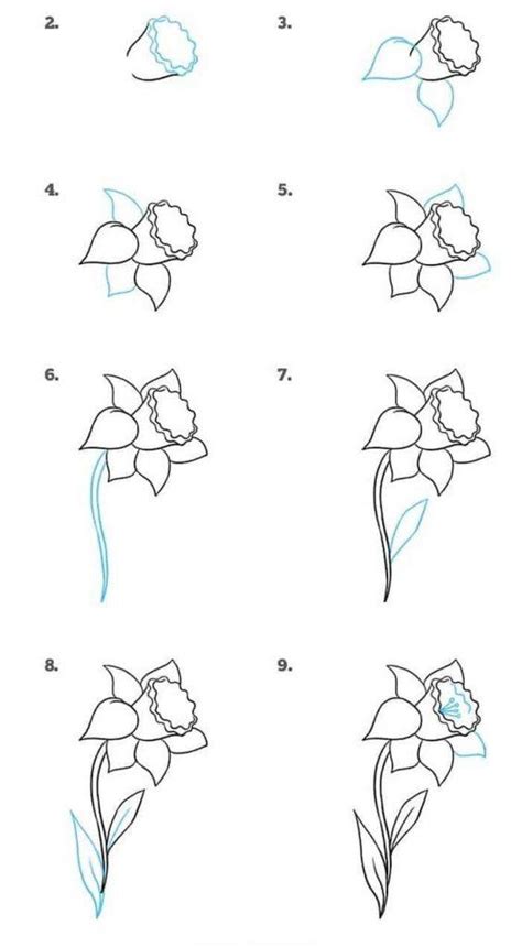 35+ Flower Drawings for Beginners- Step by Step - HARUNMUDAK