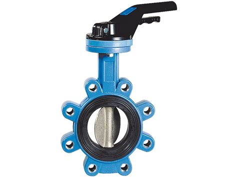 Ductile Iron Butterfly Valve 1162 Lug Cf8m Discnbr Seat Dn100