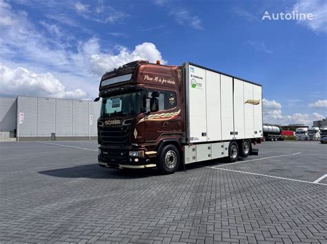 Scania R X Full Air Retarder Thermo King Ntm Frigo Side Doors