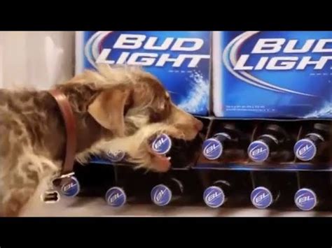 10 Funny Bud Light Dog Commercials | Americanwarmoms.org