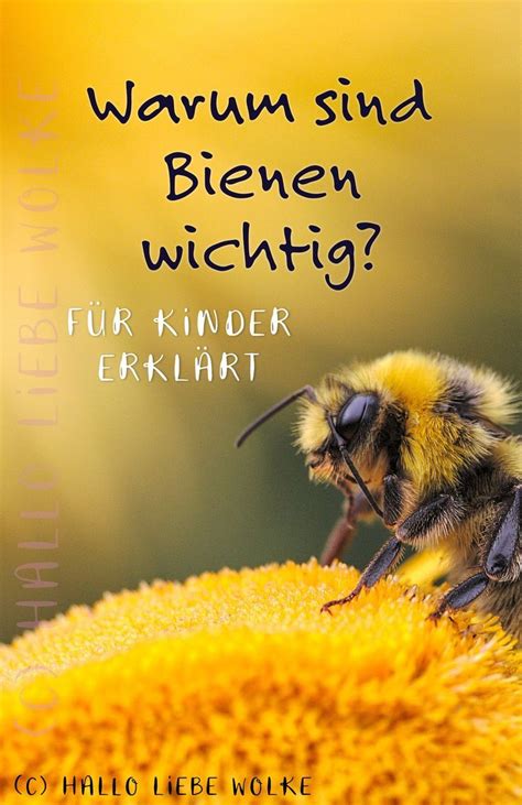 Warum Bienen wichtig sind Prinzessin Blaublüte erklärt s