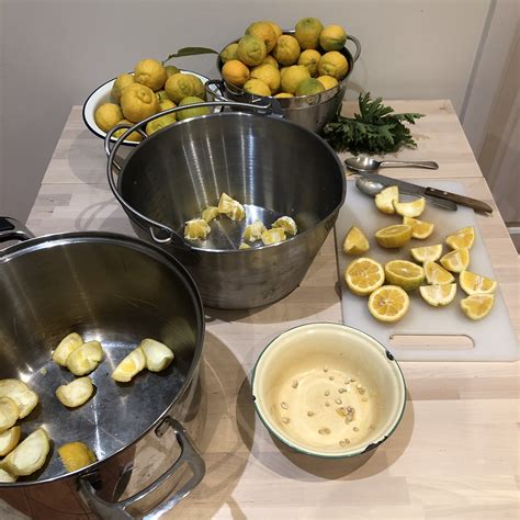 Bush Lemon Marmalade – The Urban Nanna