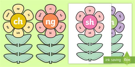 Phase 3 Digraphs 'ch', 'sh', 'th' and 'ng' Flowers Worksheet - - Phase 3