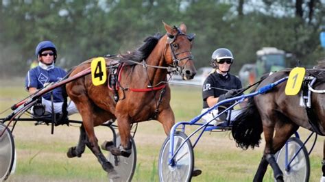 What Is Harness Racing? History, Rules, Breeds, Types, FAQs & More