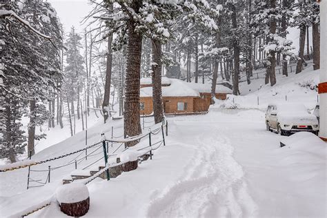 Gulmarg in Winter - A COMPLETE Travel Guide - Vargis Khan