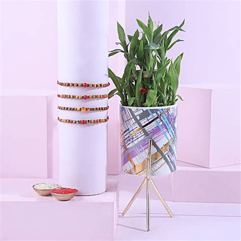 Buy Send Sneh Wooden Beads Rakhi Set With Bamboo Plant Delight Online Fnp