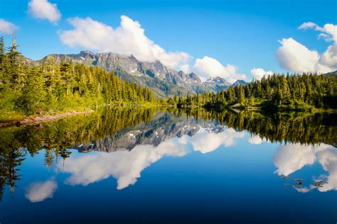 Free Images Landscape Coast Tree Water Nature Wilderness Cloud