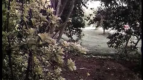 Luana La Porcona HD Free Xxx Twitter HD Porn Video XHamster