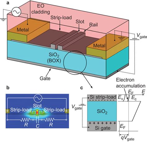 Schematic Of An Soh Modulator A The Silicon Slot Waveguide Is