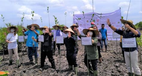 Penting Peran Pendampingan Dalam Pengelolaan Perhutanan Sosial Kanal