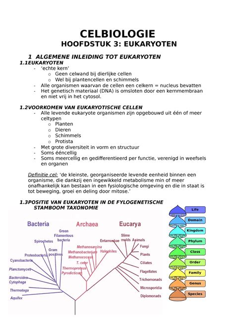 Celbiologie Samenvatting Eukaryoten Celbiologie Hoofdstuk